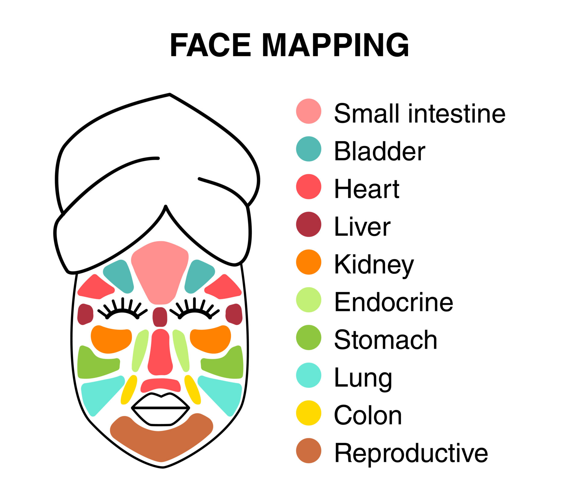 TCM Face Mapping