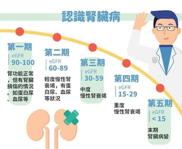 认识肾脏病